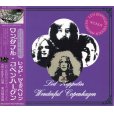 画像1: LED ZEPPELIN / WONDERFUL COPENHAGEN 【2CD】 (1)