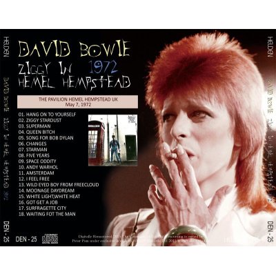 画像2: DAVID BOWIE / ZIGGY IN HEMEL HEMPSTEAD 1972 【1CD】