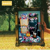 OASIS / ANATOMIASIS 【2CD】