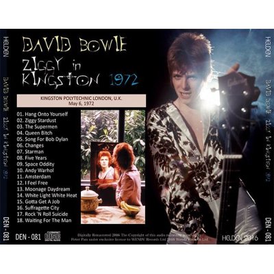 画像2: DAVID BOWIE / ZIGGY IN KINGSTON 1972 【1CD】