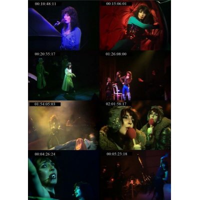 画像3: KATE BUSH / APOLLO THEATRE MANCHESTER 1979 COMPLETE VERSION 【DVD】