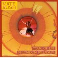 画像1: KATE BUSH / TOUR OF LIFE IN LONDON PALLADIUM 【2CD】 (1)