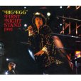 画像1: VGP-050 THE ROLLING STONES / FIRST NIGHT STAND 95 (1)