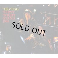 VGP-050 THE ROLLING STONES / FIRST NIGHT STAND 95