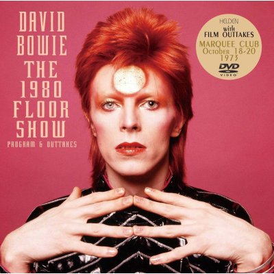 画像1: DAVID BOWIE / THE 1980 FLOOR SHOW 【DVD】