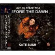 画像1: KATE BUSH / BEFORE THE DAWN 2014 【3CD】 (1)
