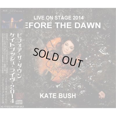 画像1: KATE BUSH / BEFORE THE DAWN 2014 【3CD】