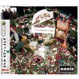 画像1: OASIS 1995 GOODBYE TONY, WELCOME SALLY! (WHO'S SALLY) 2CD (1)