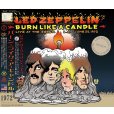 画像1: LED ZEPPELIN / BURN LIKE A CANDLE 【3CD】 (1)