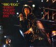 画像1: VGP-050 THE ROLLING STONES / FIRST NIGHT STAND 95 (1)