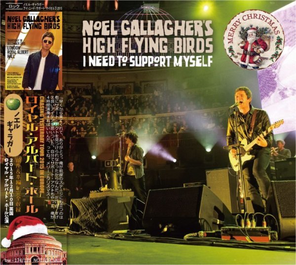 画像1: NOEL GALLAGHER 2015 I NEED TO SUPPORT MYSELF 2CD (1)