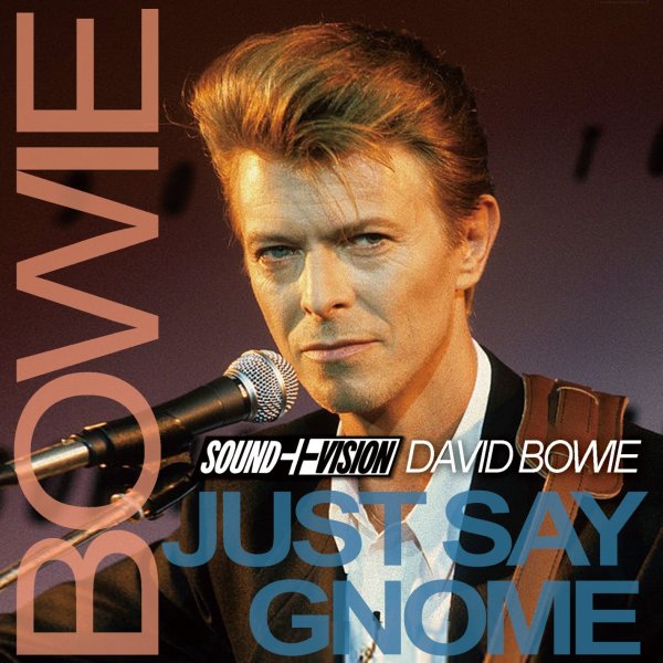 画像1: DAVID BOWIE / JUST SAY GNOME 【2CD】 (1)